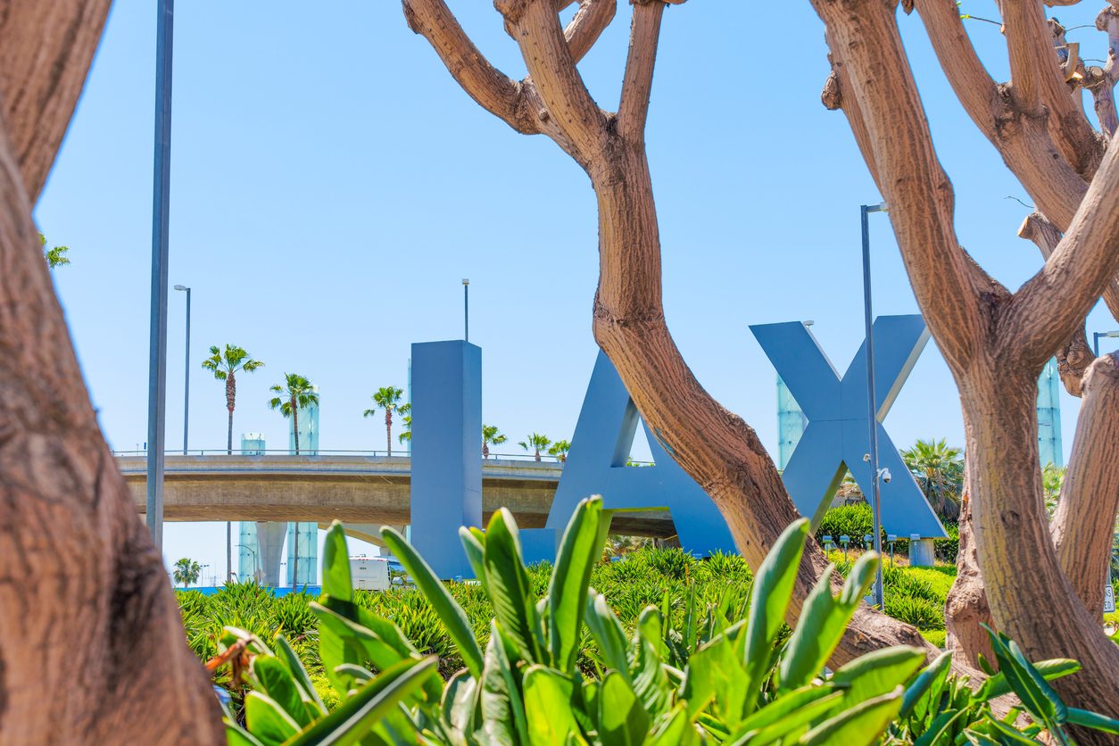 LAX Sign Framed